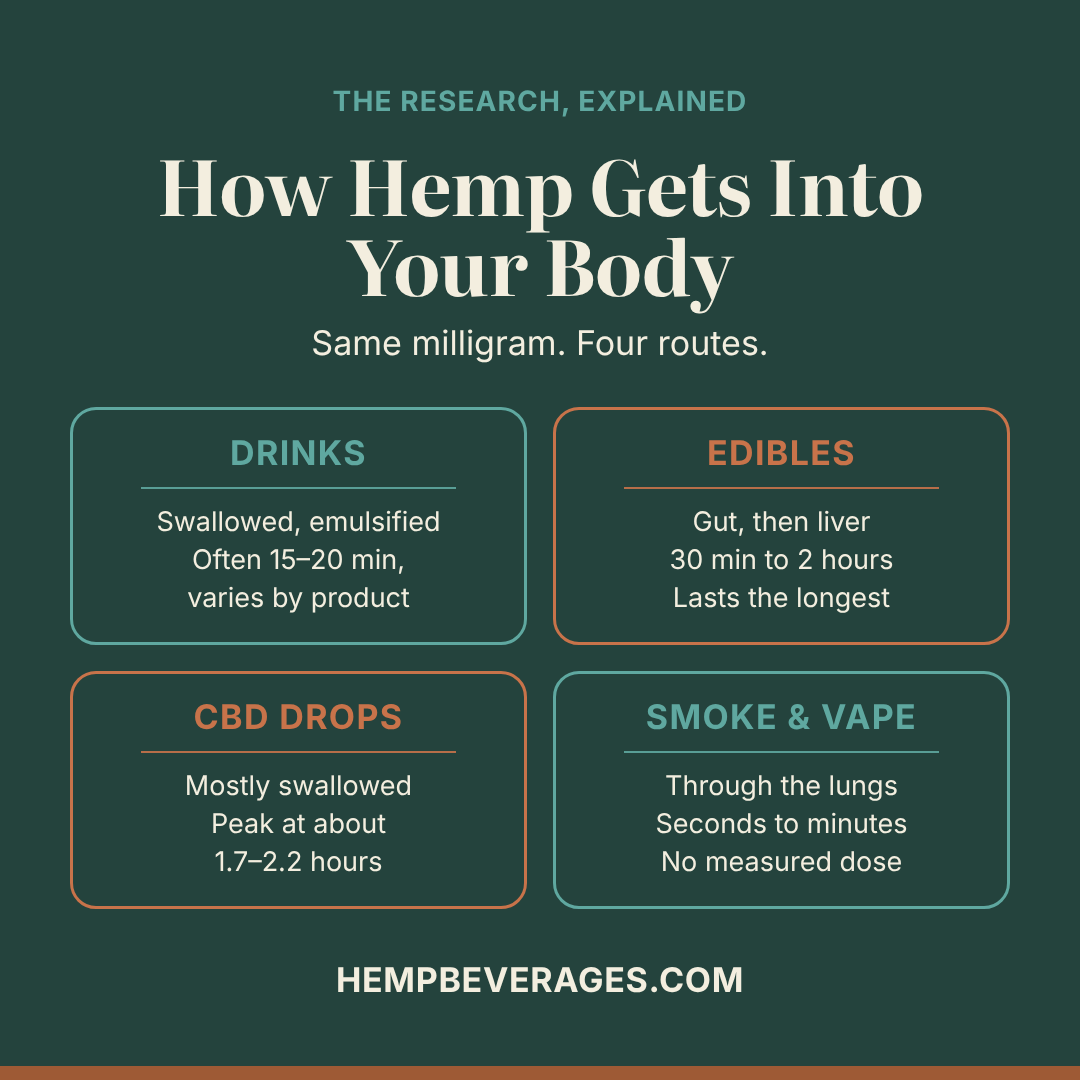 How hemp gets into your body: drinks, edibles, CBD drops and smoking compared by route and onset
