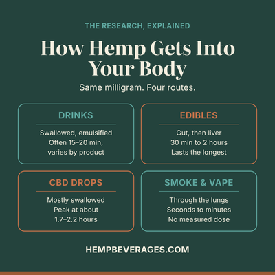 How Hemp Gets Into Your Body: Drinks, Edibles, CBD Oil and Smoking, Explained by the Research