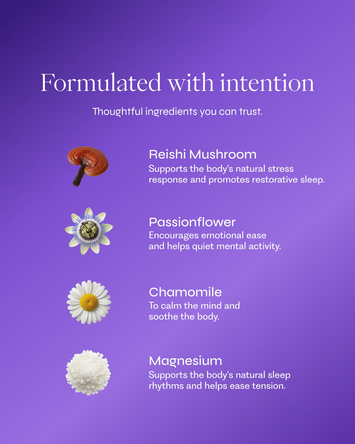 Brez Dream functional compounds: Reishi, Tart Cherry, Chamomile