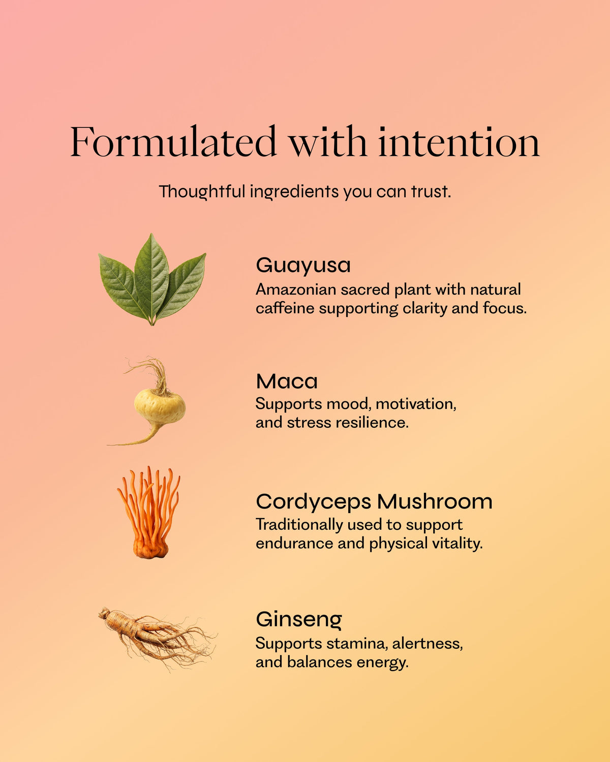 Brez Elevate functional compounds: Guayusa, Cordyceps, Maca, Ginseng