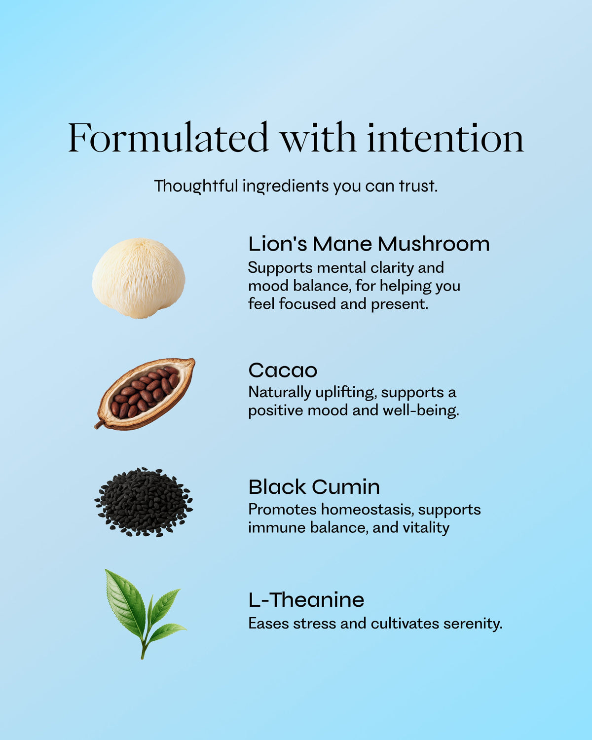 Brez Flow functional compounds: Lion's Mane, Cacao, Black Seed Oil, L-Theanine
