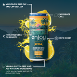 Enjoy Hemp 5mg THC + 5mg CBN Chill Seltzer — Lemon