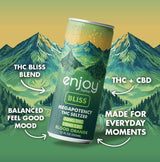 Enjoy Hemp 50mg THC + 10mg CBD Bliss Seltzer — Blood Orange