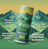 Enjoy Hemp 10mg THC + 10mg CBD Bliss Seltzer — Blood Orange