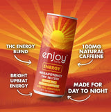 Enjoy Hemp 50mg THC + 100mg Caffeine Energy Seltzer — Iced Tea Lemonade