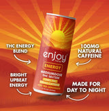 Enjoy Hemp 10mg THC + 100mg Caffeine Energy Seltzer — Iced Tea Lemonade
