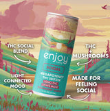 Enjoy Hemp 50mg THC + Lion’s Mane Social Seltzer — Strawberry Guava
