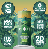 Enjoy Hemp 5mg THC + 5mg CBD Bliss Seltzer — Blood Orange
