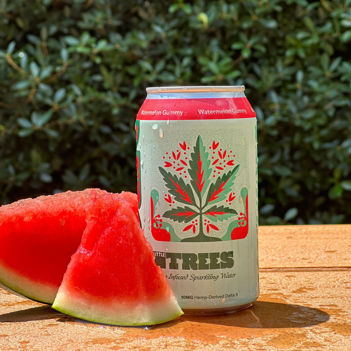 Little Trees Watermelon Gummy hemp-derived THC sparkling water 4-pack, 10mg Delta-9 per can