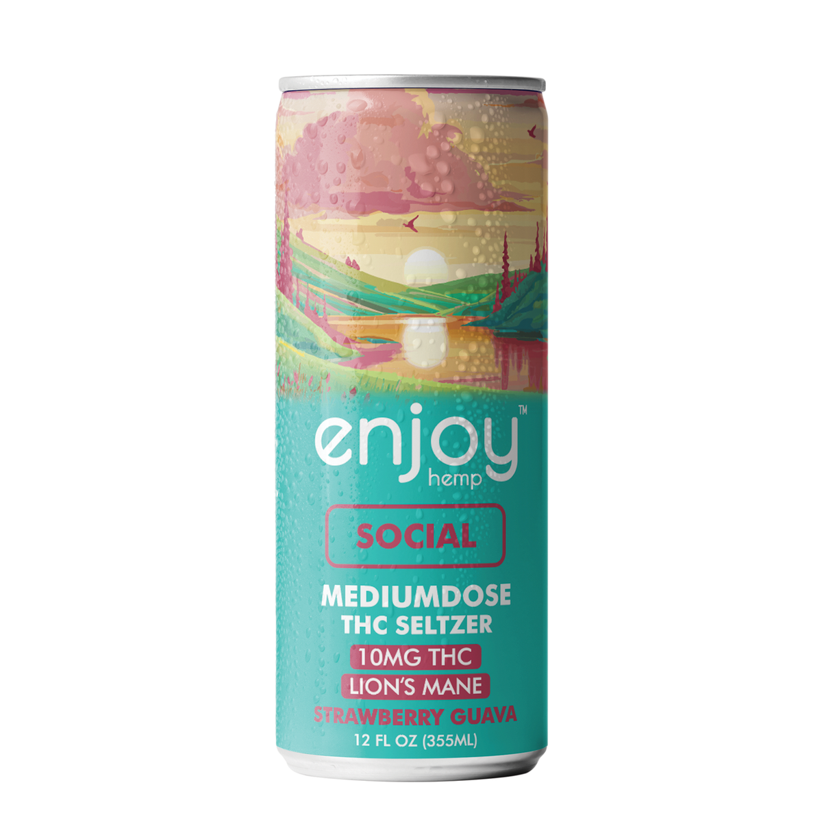 Enjoy Hemp 10mg THC Seltzer Functional Variety Pack — Energy, Social, Sleep