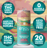 Enjoy Hemp 10mg THC + Lion’s Mane Social Seltzer — Strawberry Guava