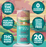Enjoy Hemp 50mg THC + Lion’s Mane Social Seltzer — Strawberry Guava