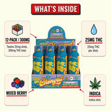 What's inside Cheech & Chong Legends Indica THC Shot: 2 fl oz (59 mL) shots, 12-pack, 25mg hemp-derived Delta-9 THC, Mixed Berry flavor